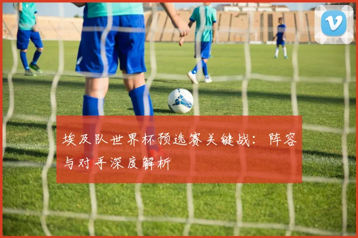 埃及队世界杯预选赛关键战：阵容与对手深度解析